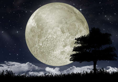 Silhouette of a tree against the big moon and the star night sky.の写真素材