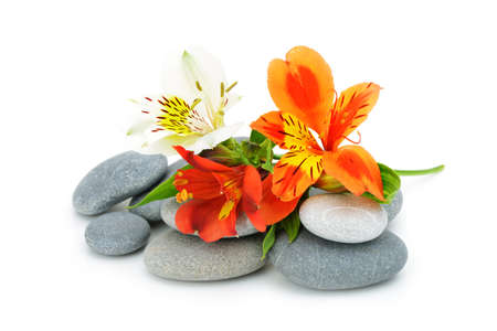 Lily flower and pebble. Isolated on white backgroundの写真素材