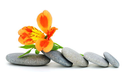 Lily flower and pebble. Isolated on white backgroundの写真素材