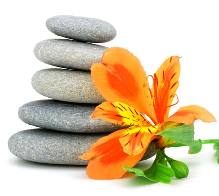 Lily flower and pebble. Isolated on white backgroundの写真素材