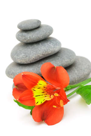 Lily flower and pebble. Isolated on white backgroundの写真素材
