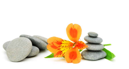 Lily flower and pebble. Isolated on white backgroundの写真素材