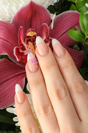 Female hands with manicure closeup. Against an orchidの写真素材