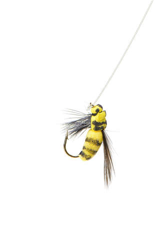Fly fishing lure wasp isolated on a white background