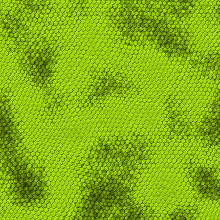snake texture. High detailed sufrace animalsの写真素材