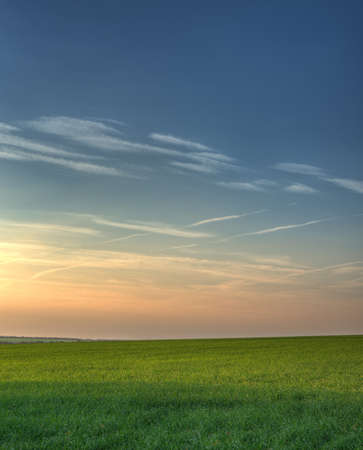 Field and picturesque sky. Highly detailed color