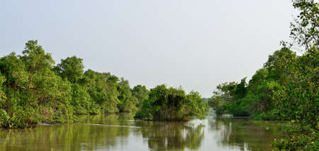 Tropical river . The river flowing in the country of Sri Lankaの写真素材