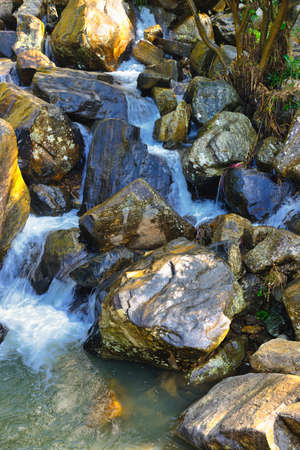 beautiful mountain river. The river flowing in the country of Sri Lankaの写真素材
