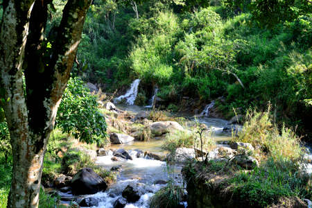 beautiful mountain river. The river flowing in the country of Sri Lankaの写真素材