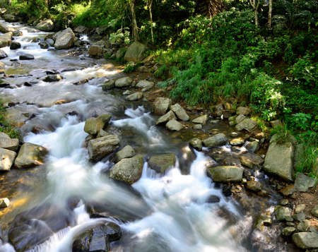 beautiful mountain river. The river flowing in the country of Sri Lankaの写真素材