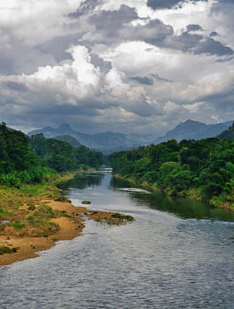 Tropical river. The river flowing in the country of Sri Lankaの写真素材