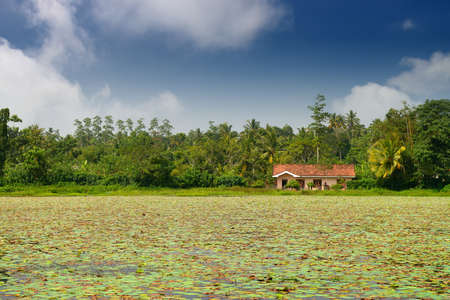 The house on the lake . Country Of Sri Lankaの写真素材