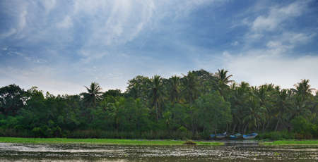 The river in a tropical forest . Country Of Sri Lankaの写真素材