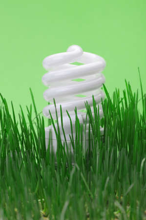 Energy saving compact fluorescent lightbulb in a green grassの写真素材