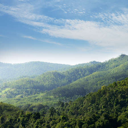 The jungle. Mountains covered with wild forest. Country Of Sri Lankaの写真素材