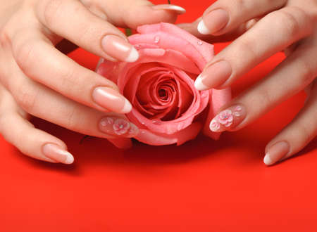Manicure. Female hands on red background. Well-groomed female hands with a decorative element - a flowerの写真素材