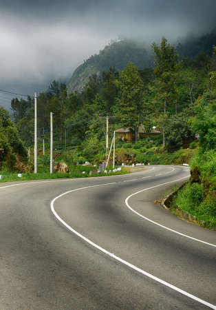 road to the mountains. Tropical forest on the roadside. The Island Of Sri Lanka.Fog above forestの写真素材