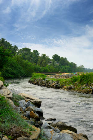 Tropical river . The Country Sri Lankaの写真素材