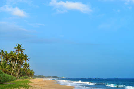 ocean coast. The coast of the Indian ocean with palm trees and yellow sandの写真素材