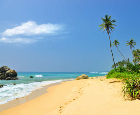 Coast ocean. Beautiful shores of the Indian oceanの写真素材