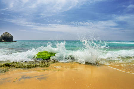 Wave on the beach.Beautiful shores of the Indian ocean