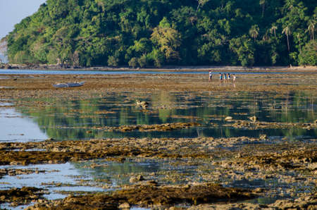 kinds walking on the low tide el nido palawan philippinesの写真素材