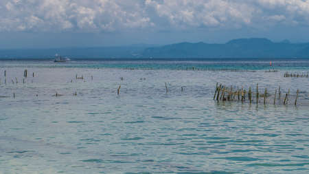 Seaweed plantation farm by Hight Tide in Nusa Penida, Bali in Clouds on Background, Indonesia.の写真素材