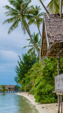 Coconut Palms near Diving Station on Kri Island, Raja Ampat, Indonesia, West Papua.の写真素材