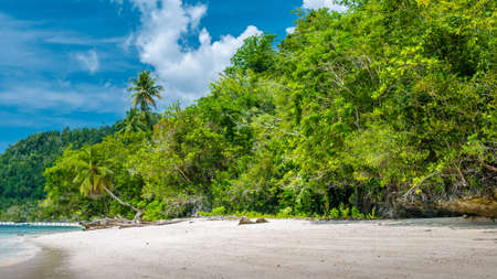 Bamboo Huts under Palm Trees of an Homestay on Gam Island, West Papuan, Raja Ampat, Indonesia.