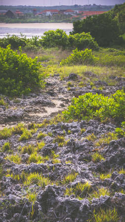 Evening on the Nusa Dua near Water Blow, Baliの写真素材