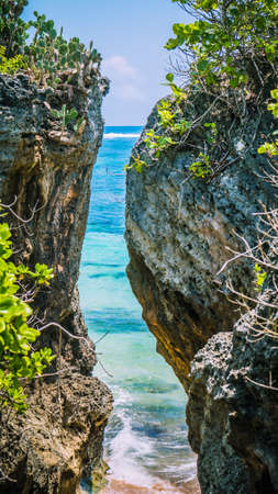 Rockes covered by Cactus on Geger Beach in Nusa Dua Baliの写真素材