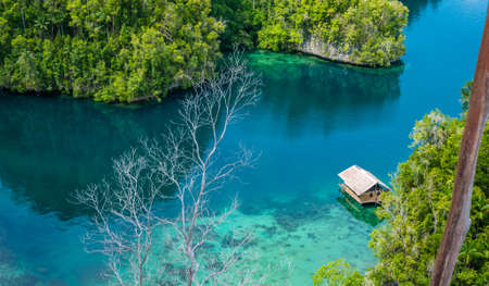 nature view in Mangrove near Warikaf Homestay, Kabui Bay and Passage. Gam Island, West Papuan, Raja Ampat, Indonesiaの写真素材