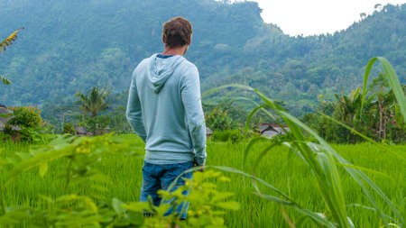 Lush green Rice tarrace in Sidemen. Bali, Indonesiaの写真素材
