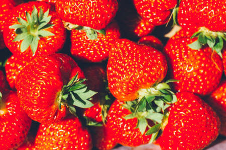 Close up of strawberry in a box - full filled frame.の写真素材