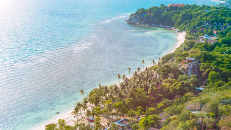 Tropical beach with palms on a windy dayの写真素材