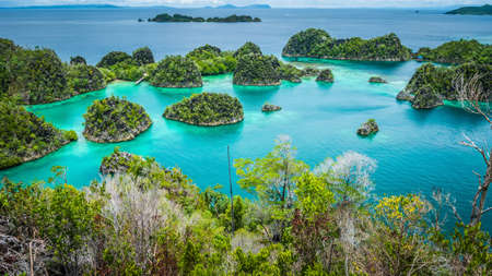Pianemo islands surrounded by azure clear water and covered by green vegetation. Raja Ampat, West Papua, Indonesiaの写真素材