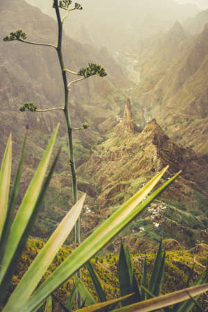 Close up of agava plants and rocky mountains in background in Xo-xo valley in Santo Antao island,...