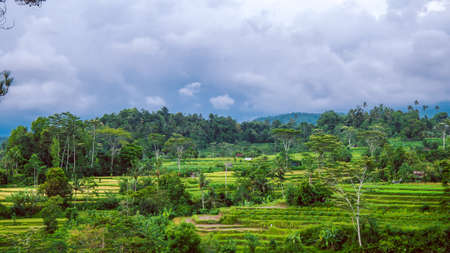 Rice tarraces in Sidemen, Rainy clouds are moving down, Bali, Indonesiaの写真素材