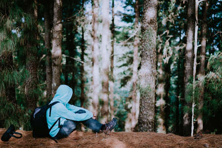 Traveler take a rest during hike in mysterious pine tree forest and endjoyed the silence. Santo Antao Island, Cape Verdeの写真素材