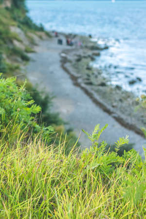 Baltic coastline. Escarpment slope lead to pebble beach. Baltic sea bay. Luebeck - Travemuende, Germanyの写真素材