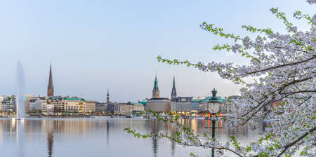Beautiful view of Hamburg town hall - Rathaus and Alster river at spring earning eveningの写真素材