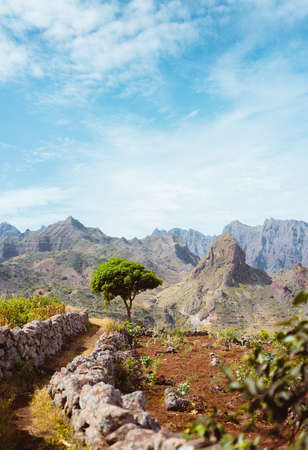 Hiking trail leading through arid rocky terrain towards Caculli village on Santo Antao Cape Verdeの写真素材
