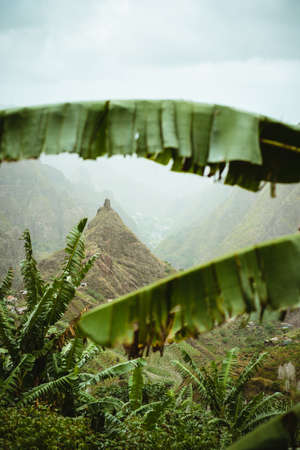 Mountain peak of Xo-xo valley visible throught the banana leaves frame down the valley. One of the...
