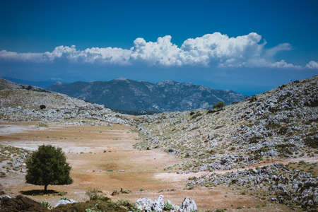 Barren mountain plateau with motion clouds scenery on the horizon. Rocky highland with islands of vegetationの写真素材