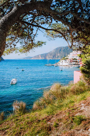 View of Mediterranean sea bay in colorful Assos village Framed by pine tree grove branch. Kefalonia...