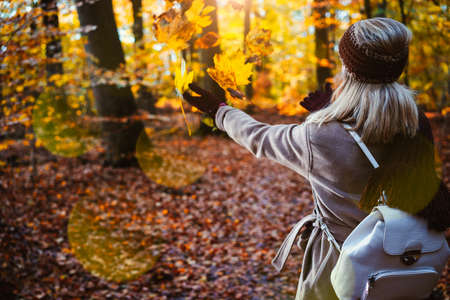Woman throwing autumn leaves into the air. Carefree, happiness concept. Scenic fall parkの写真素材