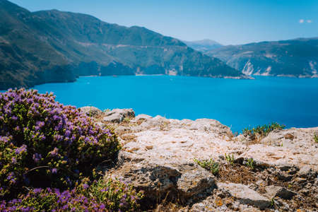 Spring blossom flowers in Greece. Blurred background with beautiful sea bay and cliffsの写真素材