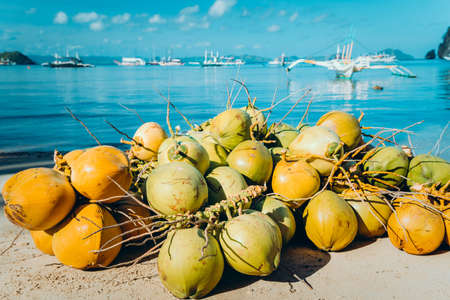 Branch of coconut fruits on the corong corong beach in El Nido, Palawan, Philippinesの写真素材