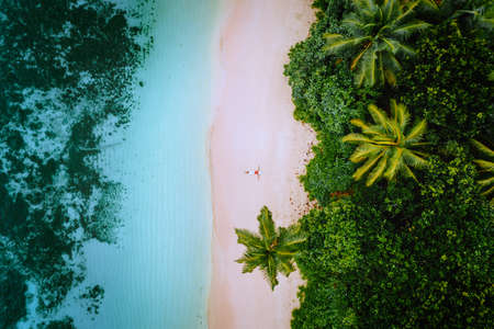 Aerial view of a young woman relaxing on the tropical paradise sandy beach surrounded by palm trees and crystal clear azure ocean shallow waterの写真素材