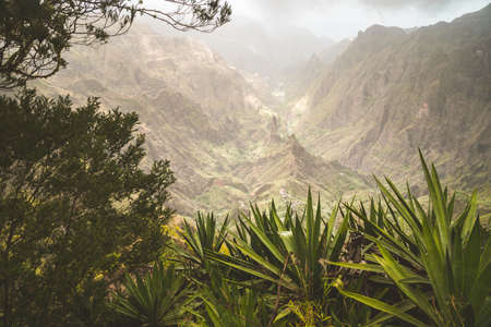 Yucca plants and rocky mountains of Xo-xo valley in background. Santo Antao island, Cape Verdeの写真素材